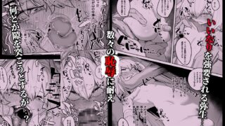 散華 ~最強格闘娘 メス堕ちレ○プ~